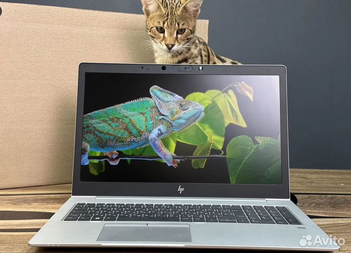Ноутбуки HP elitebook Probook Большой Выбор