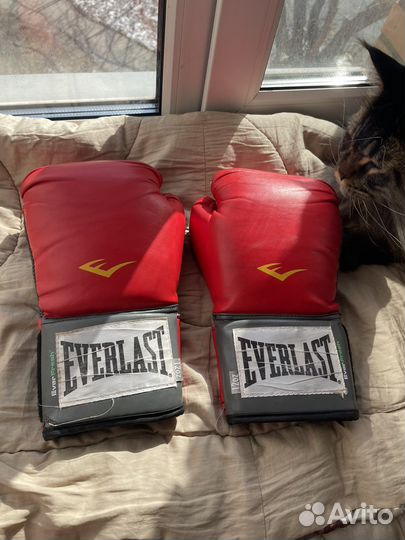 Боксерские перчатки Everlast