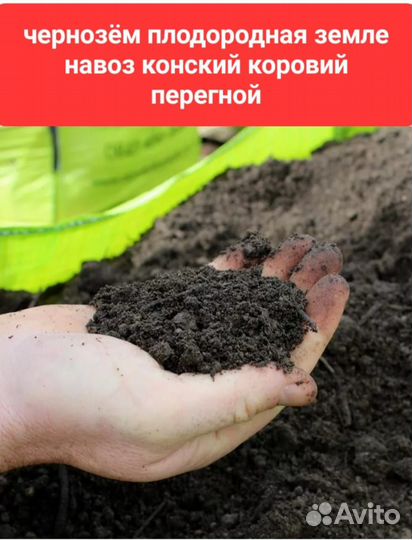 Чернозем грунт перегной