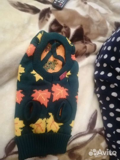 Одежда для собакт