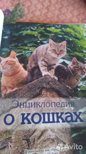 Энциклопедия о кошках