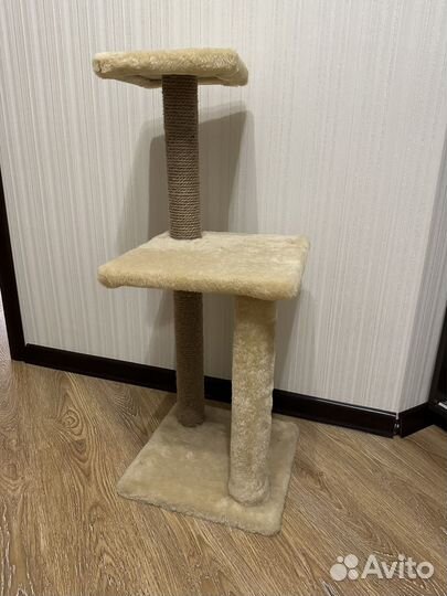 Когтеточка