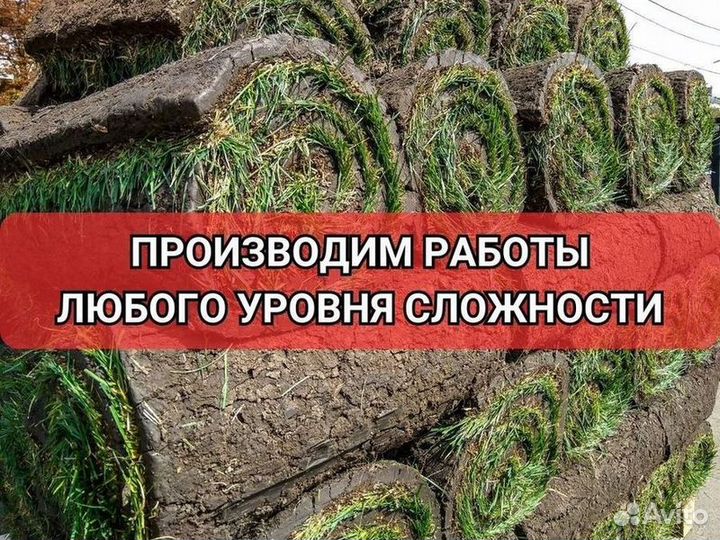 Рулонный газон от производителя стандарт
