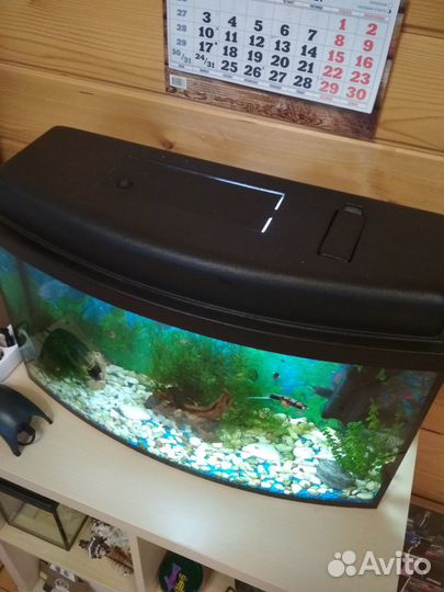 Аквариум 50 литров