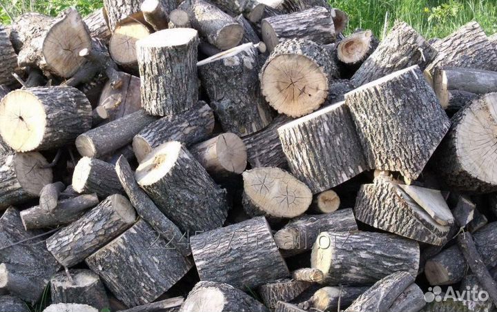 Дрова тополь,клен чурками