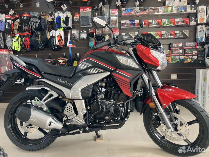 Racer Fighter RC300CK-N (2023) Moto-tourist