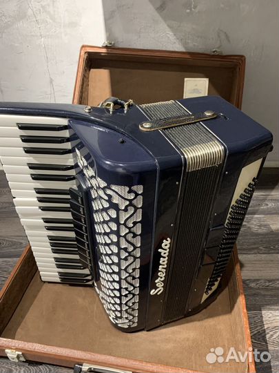 Аккордеон serenada