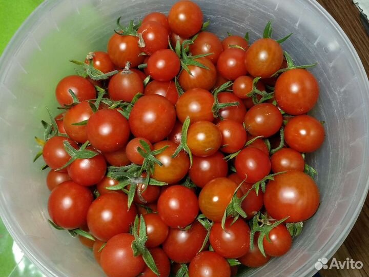 Семена томатов крупных, желтых и черри собственные