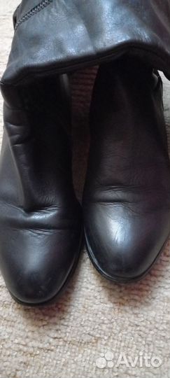 Сапоги женские