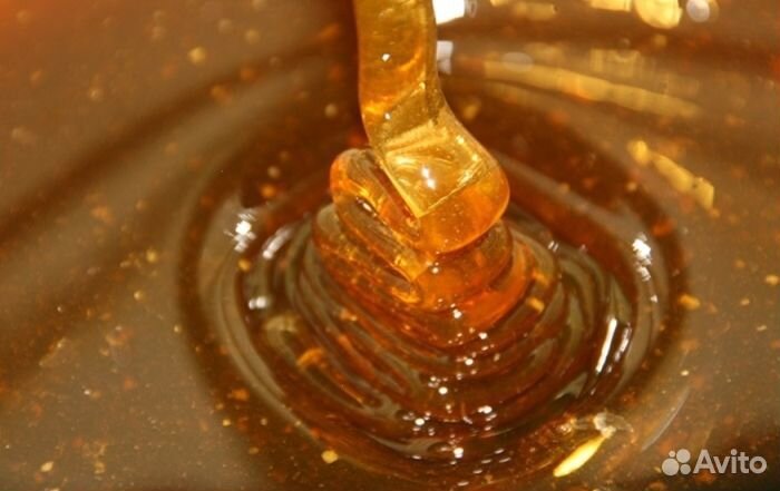 Мёд натуральный с Алтая оптом min 16kg