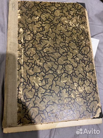 Анатомия человека атлас 1918 года