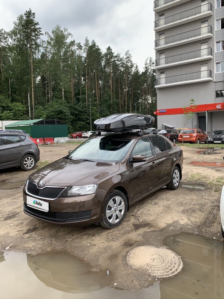 Skoda Rapid: фото владельца