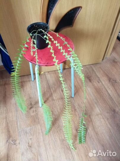 Цветы разные комнатные