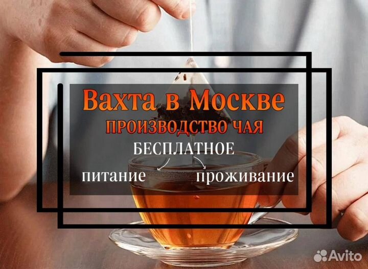 Вахта с проживанием в Москве - Сортировщик чая