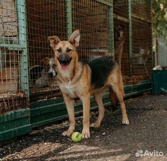 Уже не хлебный мякиш, уже ищет дом