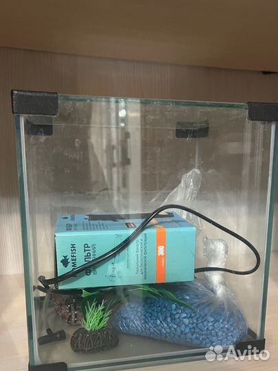 Аквариум