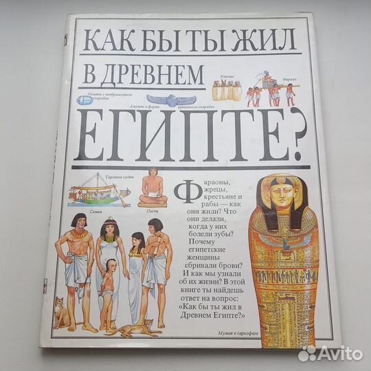 Книга. Как бы ты жил в Древнем Египте