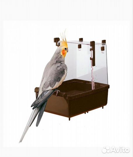 Купалка для птиц