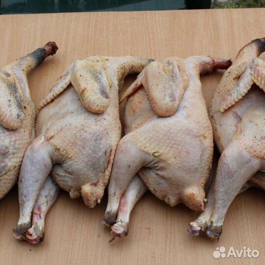 Мясо Кролик, бройлер, перепелка