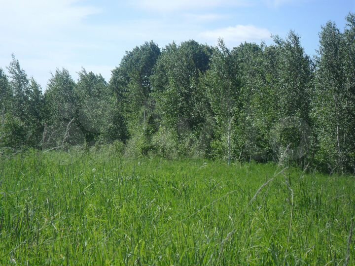 Участок 30 сот. (СНТ, ДНП)