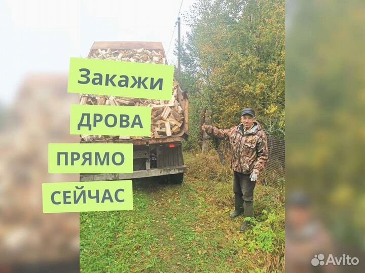 Дрова с доставкой