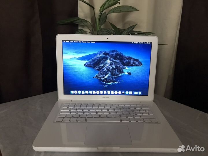 Apple MacBook SSD Catalina/Windows