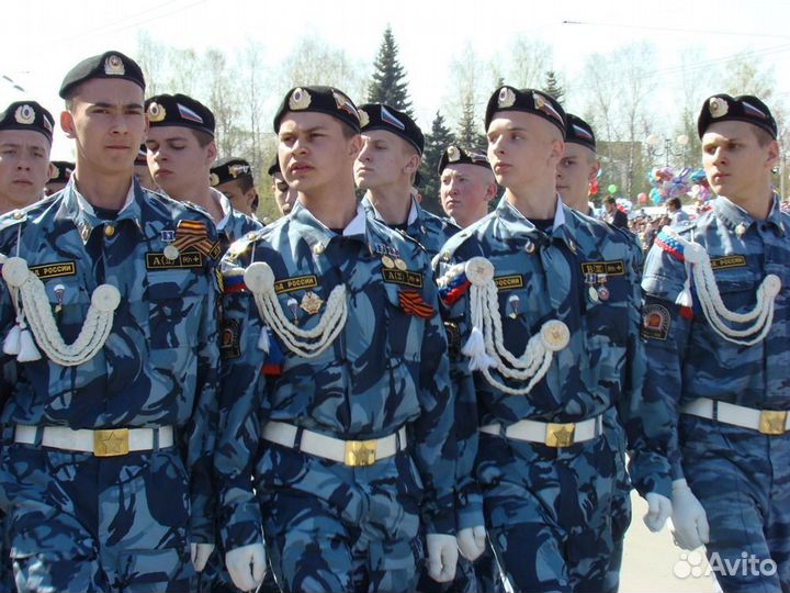 Младший инспектор отдела охраны