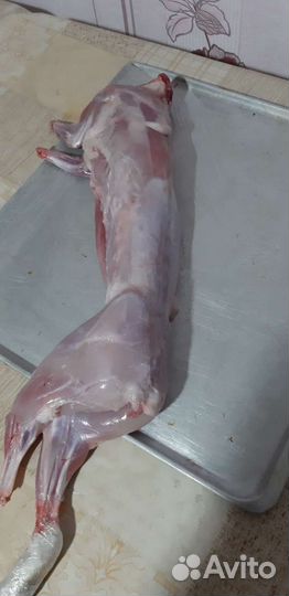 Продам мясо кролика