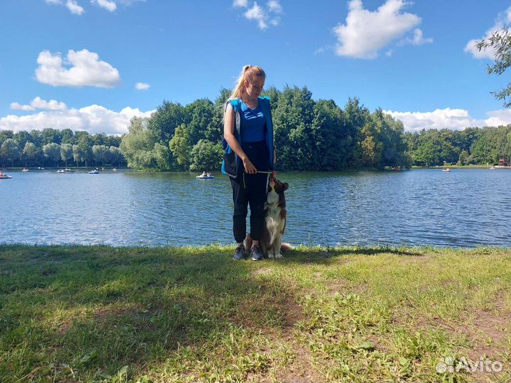 Кинолог. Воспитание и дрессировка собак