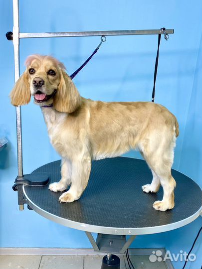 Стрижка собак и кошек