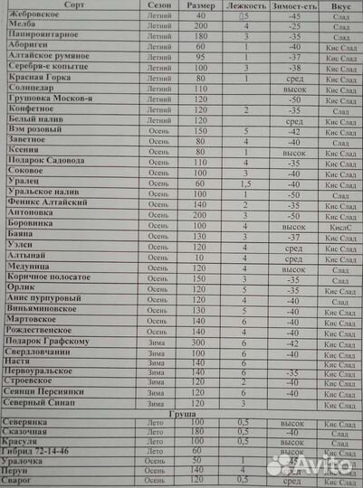 Саженцы яблони, груши