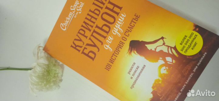 Куриный бульон для души