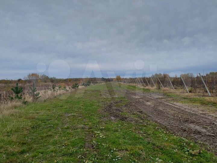 Участок 11,6 га (СНТ, ДНП)