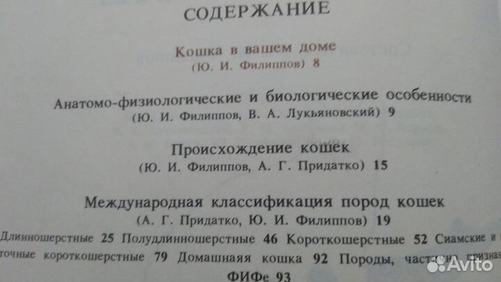 Книга Все о кошках