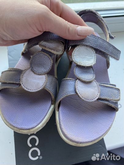 Ecco 31 размер 600