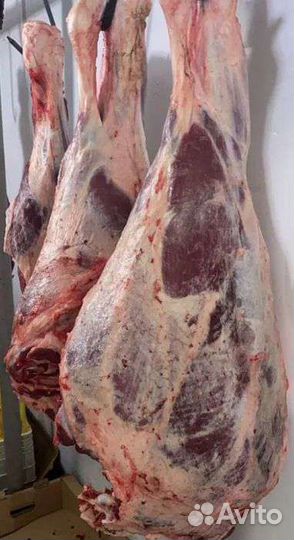 Мясо говядины