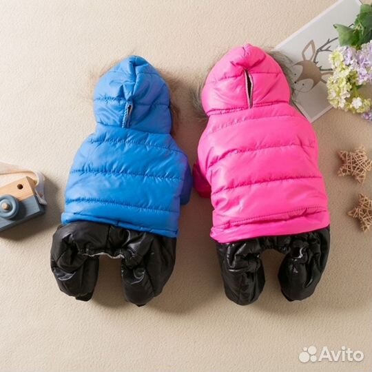 Комбинезон для животных оптом