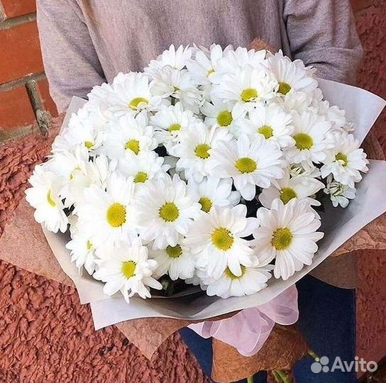 Хризантема. Букеты Цветы доставка