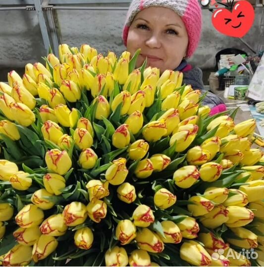 Тюльпаны оптом