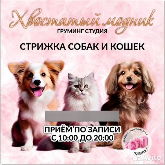 Груминг студия