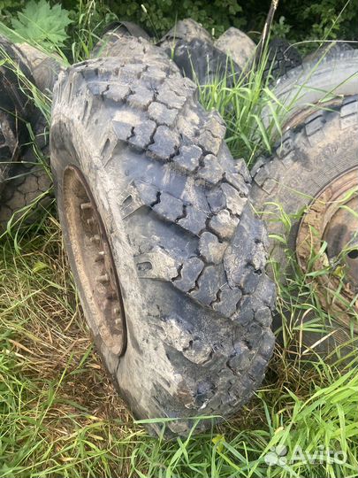 Резина на газ 66