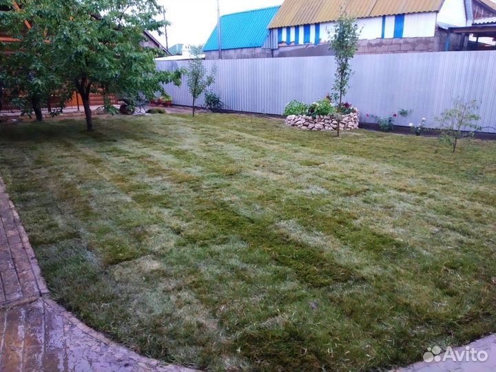 Автополив, монтаж автополива, ремонт автополива, о