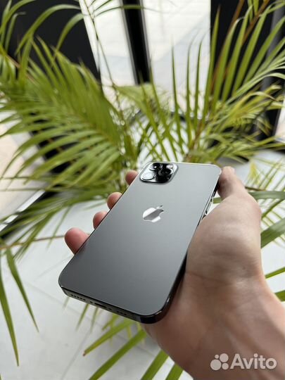 iPhone 12 Pro, 256 ГБ