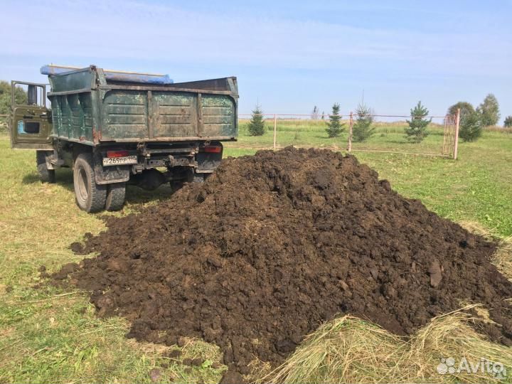 Навоз Коровий