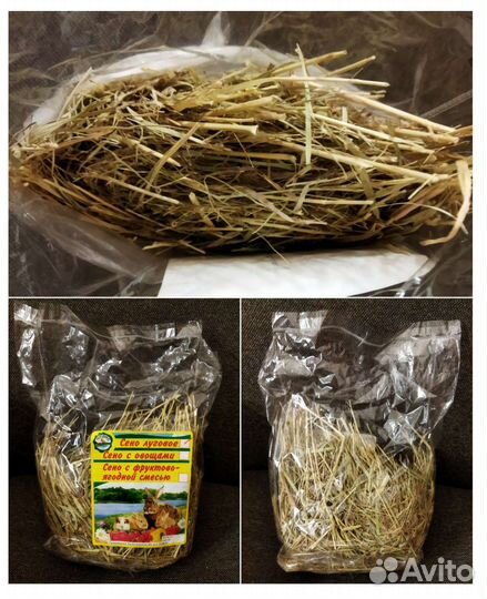 Лабиринт для хомяка