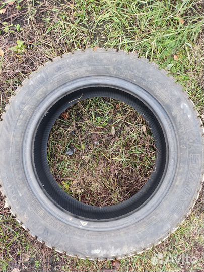 Gislaved Nord Frost 200 195/55 R15