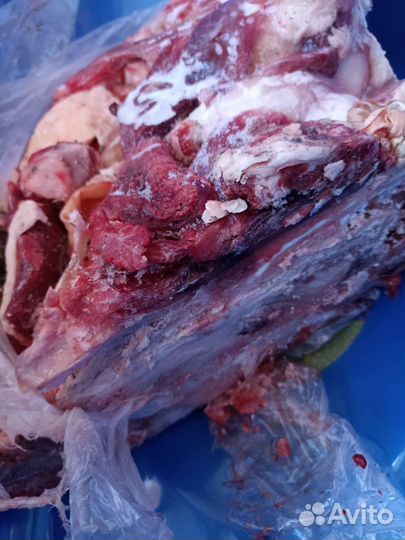 Мясо для собак