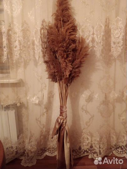 Сухих цветы