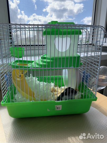 Джунгарский хомяк с клеткой бесплатно