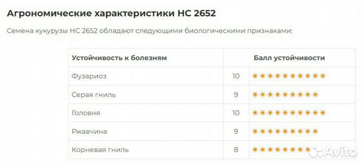 Семена кукурузы нс 2652